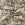 Viscose stof - linnenmix - digitaal bloemen dierenprint - beige - P18014-542 - Viscose stof - linnenmix - digitaal bloemen dierenprint - beige - P18014-542