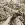Viscose stof - linnenmix - digitaal bloemen dierenprint - beige - P18014-542 - Viscose stof - linnenmix - digitaal bloemen dierenprint - beige - P18014-542