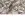 Voile stof - dierenprint - ecru - JT448 - Voile stof - dierenprint - ecru - JT448