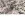 Voile stof - dierenprint - ecru - JT448 - Voile stof - dierenprint - ecru - JT448