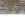 Velours de panne - beige - JT446 - Velours de panne - beige - JT446