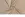 Tricot stof - punta twill - beige - JT426 - Tricot stof - punta twill - beige - JT426