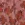 Polyester stof - jacquard - bloemen - roze - 27/4529-001 - Polyester stof - jacquard - bloemen - roze - 27/4529-001