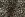 Stretch stof - katoen - twill - dierenprint - bruin - 27/4620-001 - Stretch stof - katoen - twill - dierenprint - bruin - 27/4620-001