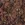 Polyester stof - jacquard metaal - bloemen - bruin - 23189-100 - Polyester stof - jacquard metaal - bloemen - bruin - 23189-100