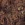 Polyester stof - jacquard metaal - bloemen - bruin - 23189-100 - Polyester stof - jacquard metaal - bloemen - bruin - 23189-100