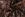 Polyester stof - jacquard metaal - bloemen - bruin - 23189-100 - Polyester stof - jacquard metaal - bloemen - bruin - 23189-100