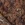 Polyester stof - jacquard metaal - bloemen - bruin - 23189-100 - Polyester stof - jacquard metaal - bloemen - bruin - 23189-100