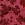 Polyester stof - jacquard - bloemen - rood - 4529-002 - Polyester stof - jacquard - bloemen - rood - 4529-002