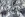 Stretch stof - varens - gebroken wit - JT128 - Stretch stof - varens - gebroken wit - JT128
