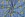 Katoen met coating - citroenen & checks - blauw - 7050-009 - Katoen met coating - citroenen & checks - blauw - 7050-009
