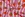 Katoen met coating - sinaasappels & strepen - roze - 7050-011 - Katoen met coating - sinaasappels & strepen - roze - 7050-011