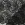 Kant stof - bloemen & paisley - zwart - 1612-001 - Kant stof - bloemen & paisley - zwart - 1612-001