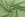 Strickstoff – Chanelli – gelb – JT380 - Strickstoff – Chanelli – gelb – JT380