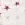 Jersey – Sterne – gebrochenes Weiß/Rosa – 27/25674-051 - Jersey – Sterne – gebrochenes Weiß/Rosa – 27/25674-051