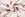 Jersey – Sterne – gebrochenes Weiß/Rosa – 27/25674-051 - Jersey – Sterne – gebrochenes Weiß/Rosa – 27/25674-051