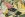 Jersey – Dschungel – Multicolor – JT326 - Jersey – Dschungel – Multicolor – JT326