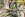Jersey – Dschungel – Multicolor – JT326 - Jersey – Dschungel – Multicolor – JT326