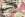 Jersey – Dschungel – Multicolor – JT326 - Jersey – Dschungel – Multicolor – JT326