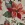 Canvas – Leinenoptik – Weihnachtssterne – naturfarben – 1974-032 - Canvas – Leinenoptik – Weihnachtssterne – naturfarben – 1974-032