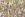 Paneel stof - exotische palmbomen - multi - JT319 - Paneel stof - exotische palmbomen - multi - JT319