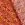 Texturé – Blumen – Multicolor – 20828-036 - Texturé – Blumen – Multicolor – 20828-036