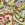 Polyester stof - bubble - bloemen - limoen - 23036-023 - Polyester stof - bubble - bloemen - limoen - 23036-023