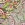Polyester stof - bubble - bloemen - limoen - 23036-023 - Polyester stof - bubble - bloemen - limoen - 23036-023