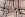Karierter Stoff – Polyester – beige – JT881 - Karierter Stoff – Polyester – beige – JT881