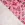 Weihnachtsstoff – French Terry – Weihnachten – rosa – CR7015-120 - Weihnachtsstoff – French Terry – Weihnachten – rosa – CR7015-120