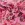 Weihnachtsstoff – French Terry – Weihnachten – rosa – CR7015-120 - Weihnachtsstoff – French Terry – Weihnachten – rosa – CR7015-120