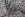 Viscose stof - dierenprint - kaki - JT867 - Viscose stof - dierenprint - kaki - JT867