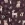 Katoenen stof - poplin - digitaal bosdieren - bordeaux - 2071-010 - Katoenen stof - poplin - digitaal bosdieren - bordeaux - 2071-010