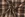 Geruite stoffen - geborsteld en garengeverfd - beige - 4797-002 - Geruite stoffen - geborsteld en garengeverfd - beige - 4797-002