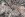 Strickstoff – Tiermuster – mehrfarbig – JT861 - Strickstoff – Tiermuster – mehrfarbig – JT861