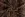 Strickstoff – super soft – Tiermuster – braun – 3986-002 - Strickstoff – super soft – Tiermuster – braun – 3986-002