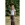 Strickstoff – super soft – Tiermuster – braun – 3986-002 - Strickstoff – super soft – Tiermuster – braun – 3986-002