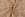 Katoenen stof - poplin - bladeren - oudroze - 60692-014 - Katoenen stof - poplin - bladeren - oudroze - 60692-014