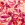 Rekbare stof - swimwear - bloemen - roze oranje - 23823-017 - Rekbare stof - swimwear - bloemen - roze oranje - 23823-017