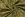 Tricot stof - French Terry - bladeren - groen - 24522-027 - Tricot stof - French Terry - bladeren - groen - 24522-027