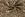 Tricot stof - French Terry - bladeren - bruin - 24522-055 - Tricot stof - French Terry - bladeren - bruin - 24522-055