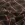 Geruite stof - jacquard - strass steentjes - bruin - Q22923-560 - Geruite stof - jacquard - strass steentjes - bruin - Q22923-560