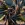 Tricot stof - digitaal bloemen - blauw - 60639-006 - Tricot stof - digitaal bloemen - blauw - 60639-006