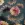 Tricot stof - digitaal bloemen - blauw - 60639-006 - Tricot stof - digitaal bloemen - blauw - 60639-006