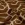 Tricot stof - punta di roma - abstract - bruin - 33/26041-055 - Tricot stof - punta di roma - abstract - bruin - 33/26041-055