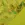 Viscose stof - satijn - digitaal bloemen - groen - 60251-023 - Viscose stof - satijn - digitaal bloemen - groen - 60251-023