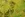 Viscose stof - satijn - digitaal bloemen - groen - 60251-023 - Viscose stof - satijn - digitaal bloemen - groen - 60251-023