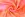 Mousseline stof - fantasie - oranje roze - 60440-008 - Mousseline stof - fantasie - oranje roze - 60440-008
