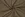 Kunstleer stof - super washed vegan leather - groen - 90204-215 - Kunstleer stof - super washed vegan leather - groen - 90204-215