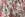 Polyester stof - oceaan, schelpen en vissen - koraal - JT816 - Polyester stof - oceaan, schelpen en vissen - koraal - JT816
